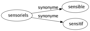 Synonyme de Sensoriels : Sensible Sensitif 