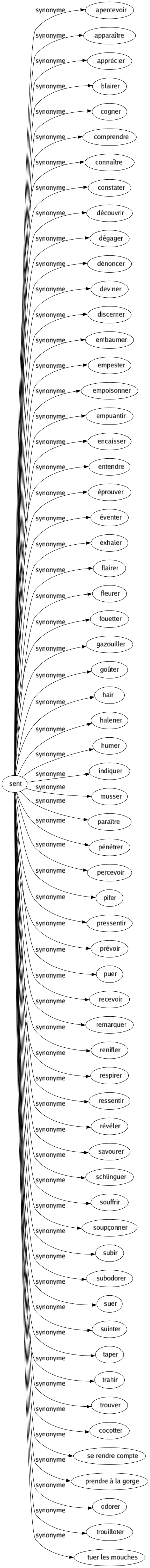 Synonyme de Sent : Apercevoir Apparaître Apprécier Blairer Cogner Comprendre Connaître Constater Découvrir Dégager Dénoncer Deviner Discerner Embaumer Empester Empoisonner Empuantir Encaisser Entendre Éprouver Éventer Exhaler Flairer Fleurer Fouetter Gazouiller Goûter Haïr Halener Humer Indiquer Musser Paraître Pénétrer Percevoir Pifer Pressentir Prévoir Puer Recevoir Remarquer Renifler Respirer Ressentir Révéler Savourer Schlinguer Souffrir Soupçonner Subir Subodorer Suer Suinter Taper Trahir Trouver Cocotter Se rendre compte Prendre à la gorge Odorer Trouilloter Tuer les mouches 