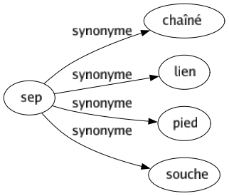 Synonyme de Sep : Chaîné Lien Pied Souche 