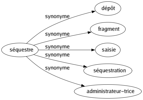 Synonyme de Séquestre : Dépôt Fragment Saisie Séquestration Administrateur-trice 