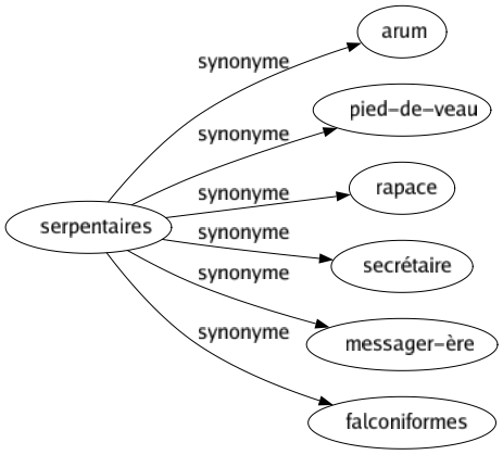 Synonyme de Serpentaires : Arum Pied-de-veau Rapace Secrétaire Messager-ère Falconiformes 