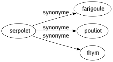 Synonyme de Serpolet : Farigoule Pouliot Thym 