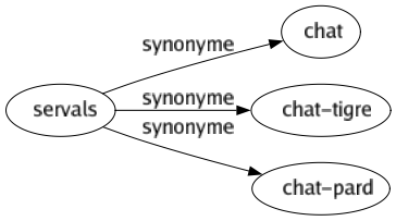 Synonyme de Servals : Chat Chat-tigre Chat-pard 