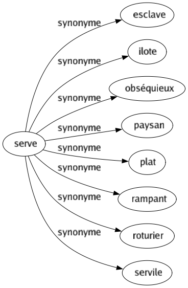 Synonyme de Serve : Esclave Ilote Obséquieux Paysan Plat Rampant Roturier Servile 