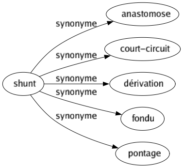 Synonyme de Shunt : Anastomose Court-circuit Dérivation Fondu Pontage 