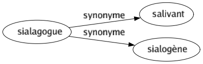 Synonyme de Sialagogue : Salivant Sialogène 