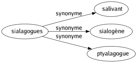 Synonyme de Sialagogues : Salivant Sialogène Ptyalagogue 