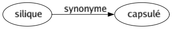 Synonyme de Silique : Capsulé 