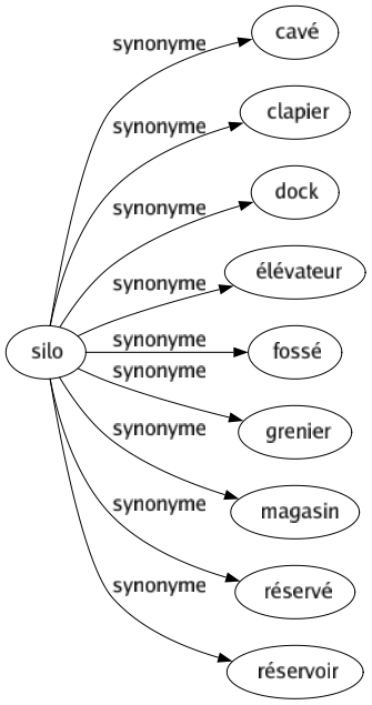 Synonyme de Silo : Cavé Clapier Dock Élévateur Fossé Grenier Magasin Réservé Réservoir 