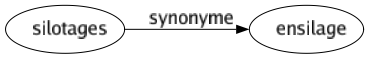 Synonyme de Silotages : Ensilage 