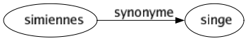 Synonyme de Simiennes : Singe 