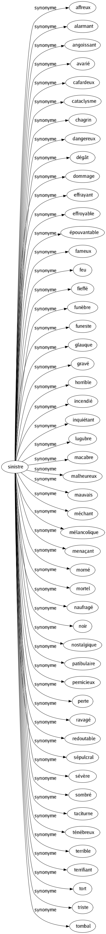 Synonyme de Sinistre : Affreux Alarmant Angoissant Avarié Cafardeux Cataclysme Chagrin Dangereux Dégât Dommage Effrayant Effroyable Épouvantable Fameux Feu Fieffé Funèbre Funeste Glauque Gravé Horrible Incendié Inquiétant Lugubre Macabre Malheureux Mauvais Méchant Mélancolique Menaçant Morné Mortel Naufragé Noir Nostalgique Patibulaire Pernicieux Perte Ravagé Redoutable Sépulcral Sévère Sombré Taciturne Ténébreux Terrible Terrifiant Tort Triste Tombal 