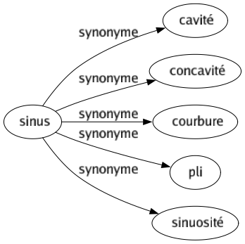 Synonyme de Sinus : Cavité Concavité Courbure Pli Sinuosité 