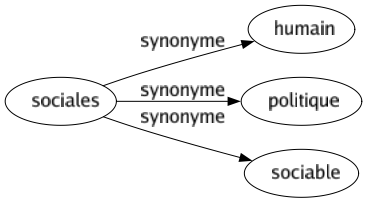 Synonyme de Sociales : Humain Politique Sociable 