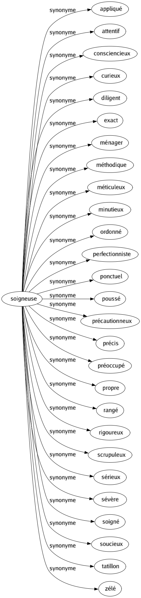 Synonyme de Soigneuse : Appliqué Attentif Consciencieux Curieux Diligent Exact Ménager Méthodique Méticuleux Minutieux Ordonné Perfectionniste Ponctuel Poussé Précautionneux Précis Préoccupé Propre Rangé Rigoureux Scrupuleux Sérieux Sévère Soigné Soucieux Tatillon Zélé 