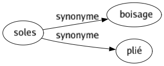 Synonyme de Soles : Boisage Plié 