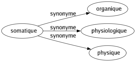 Synonyme de Somatique : Organique Physiologique Physique 