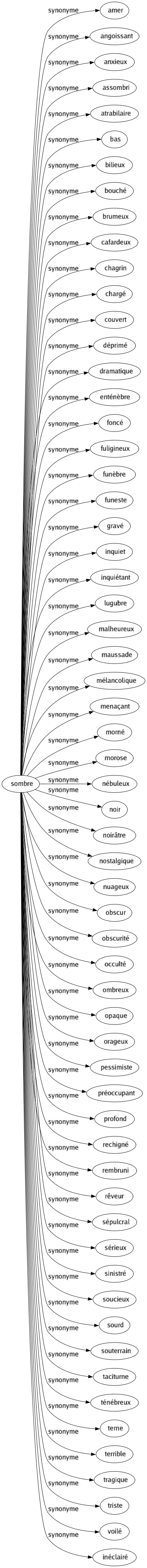 Synonyme de Sombre : Amer Angoissant Anxieux Assombri Atrabilaire Bas Bilieux Bouché Brumeux Cafardeux Chagrin Chargé Couvert Déprimé Dramatique Enténèbre Foncé Fuligineux Funèbre Funeste Gravé Inquiet Inquiétant Lugubre Malheureux Maussade Mélancolique Menaçant Morné Morose Nébuleux Noir Noirâtre Nostalgique Nuageux Obscur Obscurité Occulté Ombreux Opaque Orageux Pessimiste Préoccupant Profond Rechigné Rembruni Rêveur Sépulcral Sérieux Sinistré Soucieux Sourd Souterrain Taciturne Ténébreux Terne Terrible Tragique Triste Voilé Inéclairé 