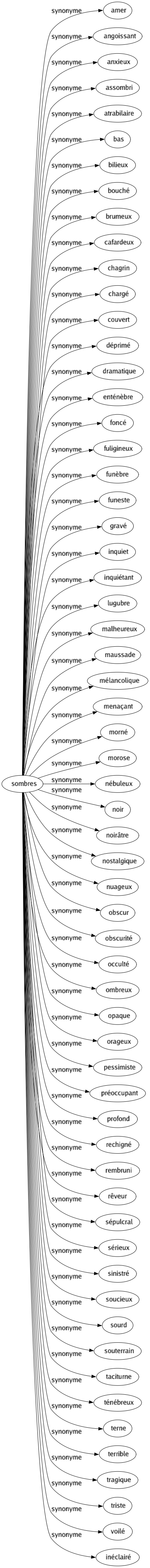 Synonyme de Sombres : Amer Angoissant Anxieux Assombri Atrabilaire Bas Bilieux Bouché Brumeux Cafardeux Chagrin Chargé Couvert Déprimé Dramatique Enténèbre Foncé Fuligineux Funèbre Funeste Gravé Inquiet Inquiétant Lugubre Malheureux Maussade Mélancolique Menaçant Morné Morose Nébuleux Noir Noirâtre Nostalgique Nuageux Obscur Obscurité Occulté Ombreux Opaque Orageux Pessimiste Préoccupant Profond Rechigné Rembruni Rêveur Sépulcral Sérieux Sinistré Soucieux Sourd Souterrain Taciturne Ténébreux Terne Terrible Tragique Triste Voilé Inéclairé 