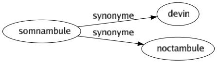 Synonyme de Somnambule : Devin Noctambule 