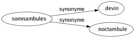 Synonyme de Somnambules : Devin Noctambule 