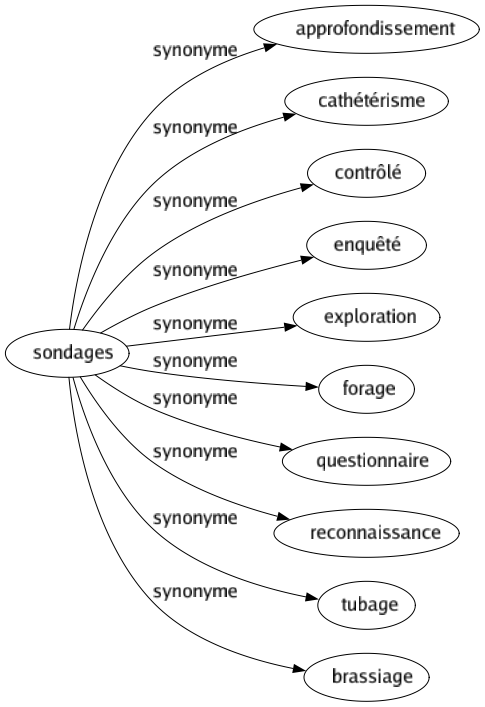 Synonyme de Sondages : Approfondissement Cathétérisme Contrôlé Enquêté Exploration Forage Questionnaire Reconnaissance Tubage Brassiage 