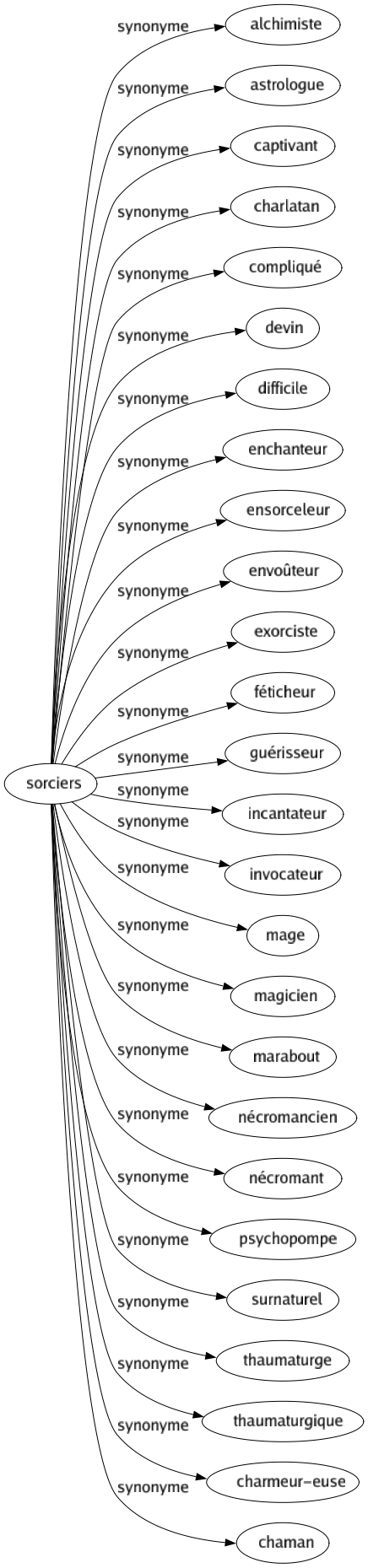 Synonyme de Sorciers : Alchimiste Astrologue Captivant Charlatan Compliqué Devin Difficile Enchanteur Ensorceleur Envoûteur Exorciste Féticheur Guérisseur Incantateur Invocateur Mage Magicien Marabout Nécromancien Nécromant Psychopompe Surnaturel Thaumaturge Thaumaturgique Charmeur-euse Chaman 