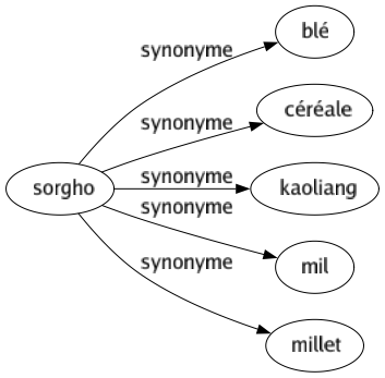 Synonyme de Sorgho : Blé Céréale Kaoliang Mil Millet 