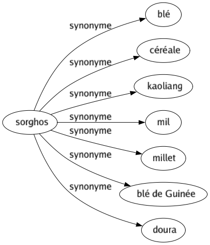 Synonyme de Sorghos : Blé Céréale Kaoliang Mil Millet Blé de guinée Doura 