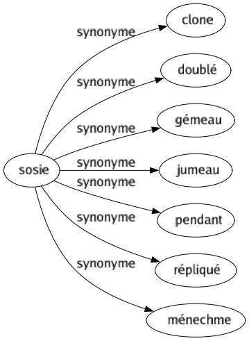 Synonyme de Sosie : Clone Doublé Gémeau Jumeau Pendant Répliqué Ménechme 