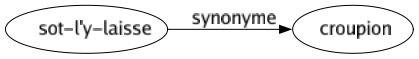 Synonyme de Sot-l'y-laisse : Croupion 