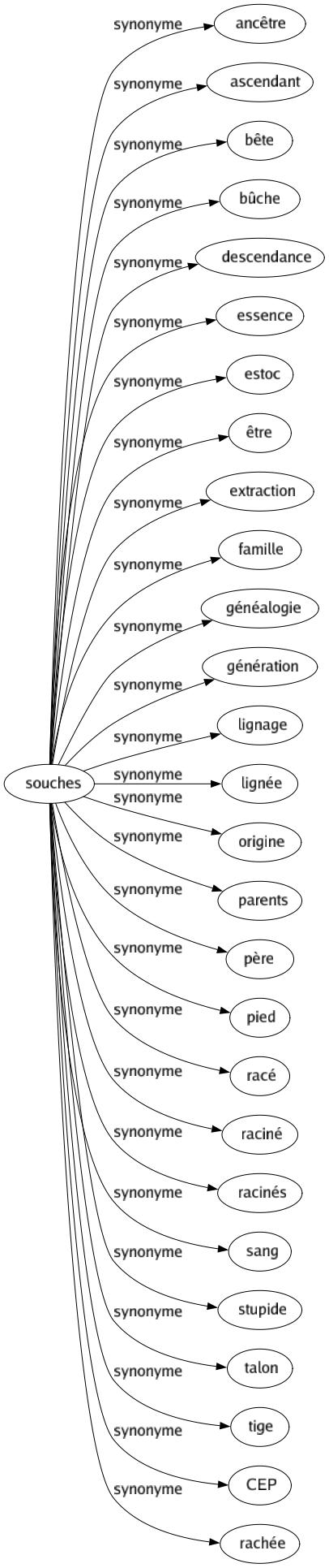 Synonyme de Souches : Ancêtre Ascendant Bête Bûche Descendance Essence Estoc Être Extraction Famille Généalogie Génération Lignage Lignée Origine Parents Père Pied Racé Raciné Racinés Sang Stupide Talon Tige Cep Rachée 