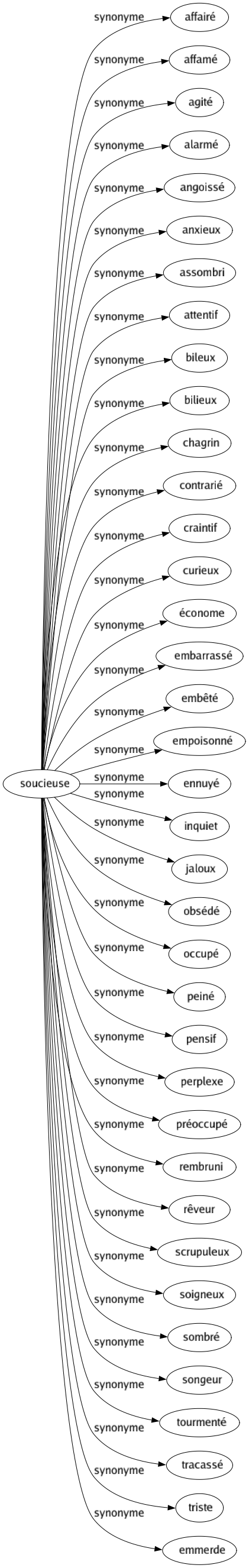 Synonyme de Soucieuse : Affairé Affamé Agité Alarmé Angoissé Anxieux Assombri Attentif Bileux Bilieux Chagrin Contrarié Craintif Curieux Économe Embarrassé Embêté Empoisonné Ennuyé Inquiet Jaloux Obsédé Occupé Peiné Pensif Perplexe Préoccupé Rembruni Rêveur Scrupuleux Soigneux Sombré Songeur Tourmenté Tracassé Triste Emmerde 