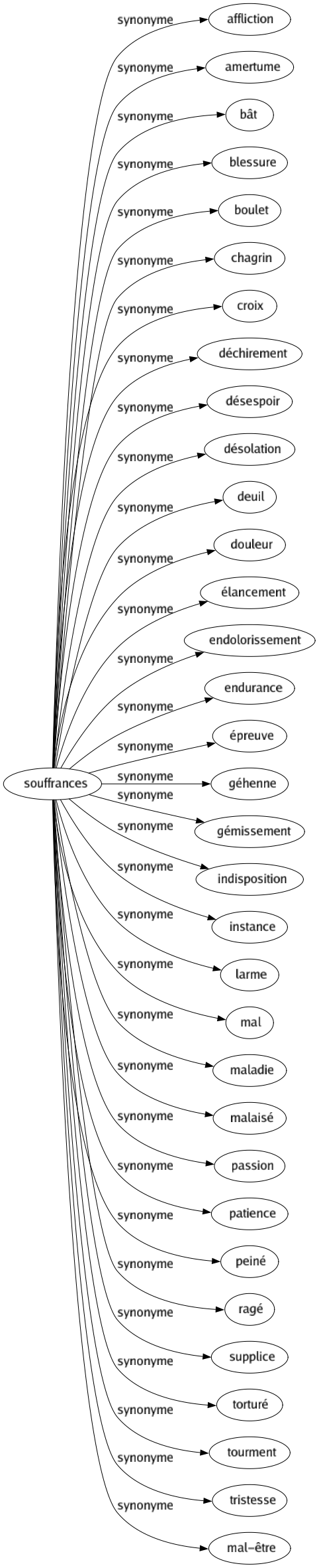 Synonyme de Souffrances : Affliction Amertume Bât Blessure Boulet Chagrin Croix Déchirement Désespoir Désolation Deuil Douleur Élancement Endolorissement Endurance Épreuve Géhenne Gémissement Indisposition Instance Larme Mal Maladie Malaisé Passion Patience Peiné Ragé Supplice Torturé Tourment Tristesse Mal-être 