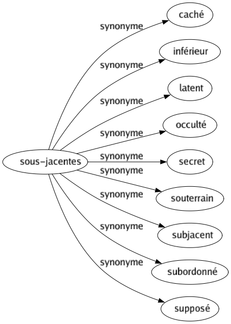 Synonyme de Sous-jacentes : Caché Inférieur Latent Occulté Secret Souterrain Subjacent Subordonné Supposé 