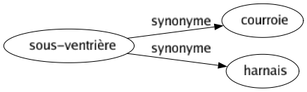 Synonyme de Sous-ventrière : Courroie Harnais 