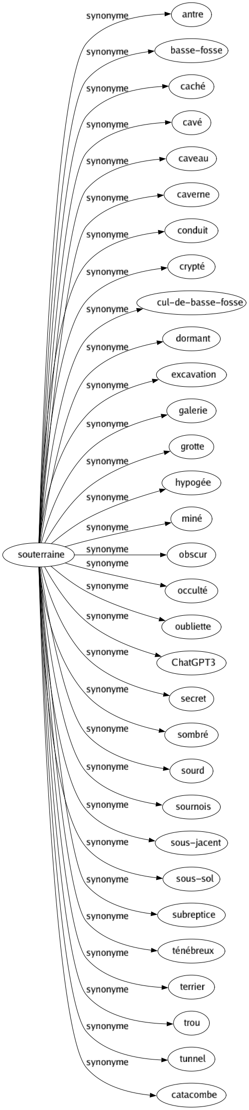 Synonyme de Souterraine : Antre Basse-fosse Caché Cavé Caveau Caverne Conduit Crypté Cul-de-basse-fosse Dormant Excavation Galerie Grotte Hypogée Miné Obscur Occulté Oubliette Chatgpt3 Secret Sombré Sourd Sournois Sous-jacent Sous-sol Subreptice Ténébreux Terrier Trou Tunnel Catacombe 