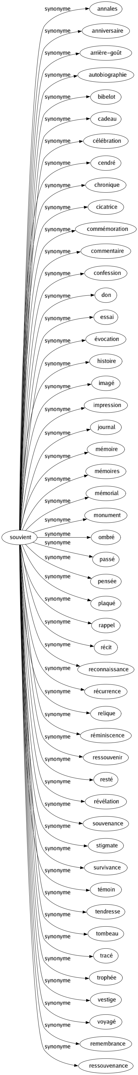 Synonyme de Souvient : Annales Anniversaire Arrière-goût Autobiographie Bibelot Cadeau Célébration Cendré Chronique Cicatrice Commémoration Commentaire Confession Don Essai Évocation Histoire Imagé Impression Journal Mémoire Mémoires Mémorial Monument Ombré Passé Pensée Plaqué Rappel Récit Reconnaissance Récurrence Relique Réminiscence Ressouvenir Resté Révélation Souvenance Stigmate Survivance Témoin Tendresse Tombeau Tracé Trophée Vestige Voyagé Remembrance Ressouvenance 