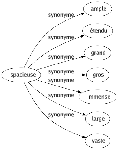 Synonyme de Spacieuse : Ample Étendu Grand Gros Immense Large Vaste 