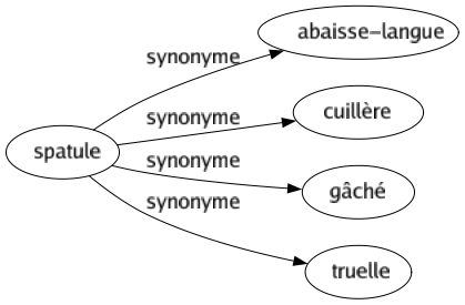 Synonyme de Spatule : Abaisse-langue Cuillère Gâché Truelle 