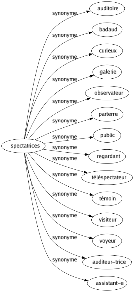 Synonyme de Spectatrices : Auditoire Badaud Curieux Galerie Observateur Parterre Public Regardant Téléspectateur Témoin Visiteur Voyeur Auditeur-trice Assistant-e 