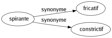 Synonyme de Spirante : Fricatif Constrictif 