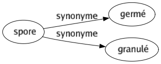 Synonyme de Spore : Germé Granulé 