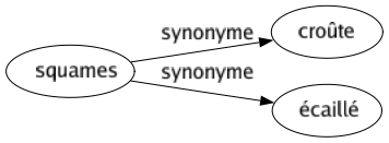 Synonyme de Squames : Croûte Écaillé 