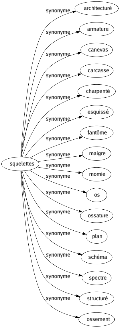 Synonyme de Squelettes : Architecturé Armature Canevas Carcasse Charpenté Esquissé Fantôme Maigre Momie Os Ossature Plan Schéma Spectre Structuré Ossement 