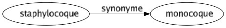 Synonyme de Staphylocoque : Monocoque 