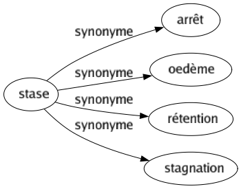 Synonyme de Stase : Arrêt Oedème Rétention Stagnation 
