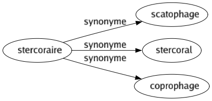 Synonyme de Stercoraire : Scatophage Stercoral Coprophage 