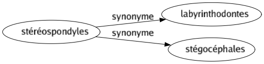 Synonyme de Stéréospondyles : Labyrinthodontes Stégocéphales 