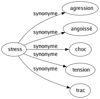 Synonyme de Stress : Agression Angoissé Choc Tension Trac 